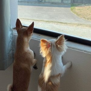 Meet your Posher, Kathleen